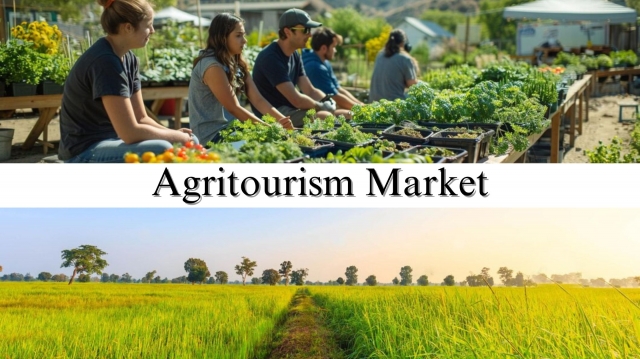 Agritourism Market Top Players Analysis, Revenue, Trends, and Growth Forecast to 2032