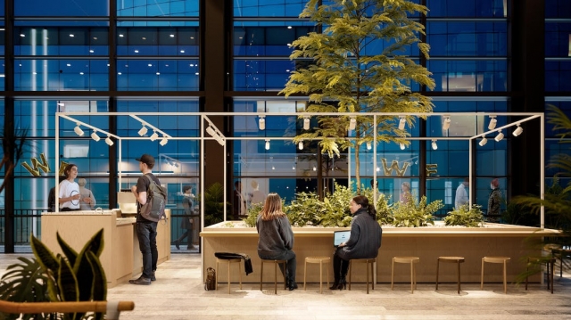 How Shared Workspaces Can Maintain Sustainability and Implement Eco-Friendly Practices