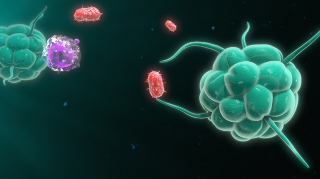 The Anti CD47 Drugs Market will grow at highest pace owing to increasing number of cancerpatients