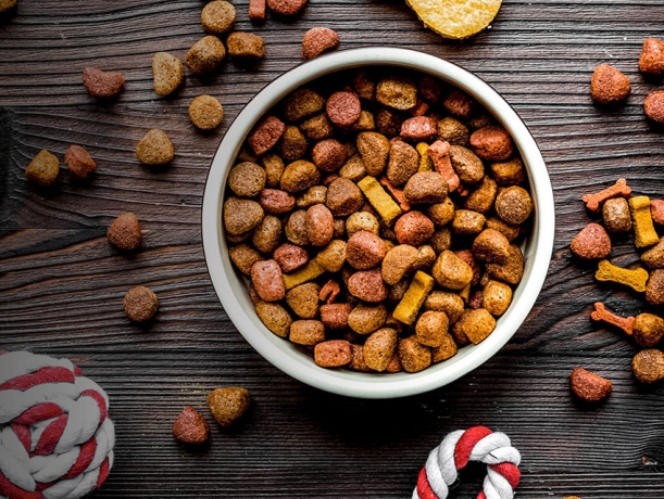 Singapore Pet Food Ingredients Market: Dominating the Southeast Asian Region