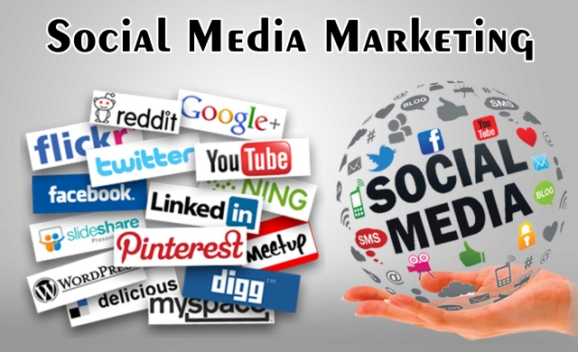 Best Social Media Marketing Company Delhi