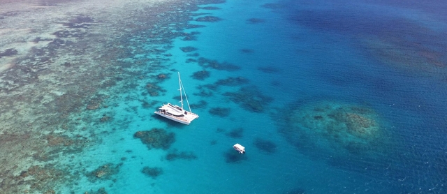 Eco-Cruises in Port Douglas - Explore the Reef the Green & Sustainable Way!