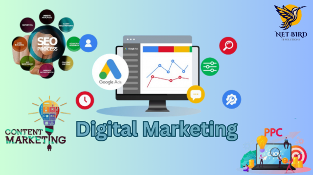 NetBird IT Solution- Best Digital Marketing Agency in Noida