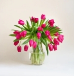 Geef roze tulpen als brievenbus cadeau en maak iemand blij