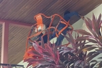 Revitalize Your Home: Expert HDB Painting Services In Singapore