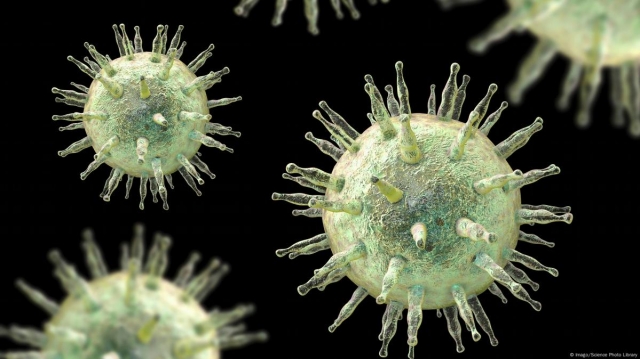 Epstein-Barr Virus (EBV) Market is Estimated to Witness High Growth Owing to Advancements in Diagnostic Testing 