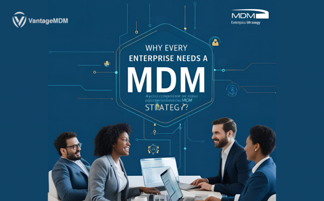 Why Every Enterprise Needs a Robust MDM Strategy