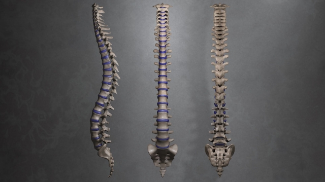 Spinal Osteosynthesis Units Market set to Grow Substantially Due to Advancements in Mini-Invasive Spine Surgeries 