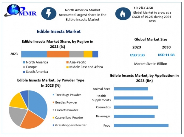 Culinary Innovations Asia Pacific's Edible Insects Industry Trends and Growth