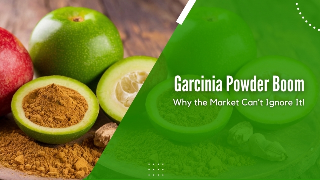 The Surge in Garcinia Powder Demand: What’s Fueling the Global Nutraceutical Market?