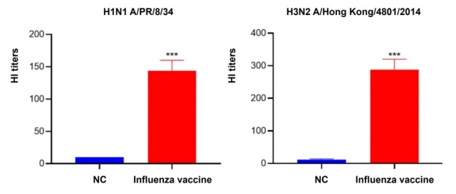 Vaccine Development CRO Services