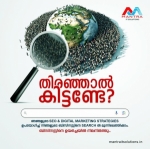 Mantra IT Solutions-Digital Marketing Services in Kerala