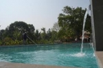 Beat the Heat: Find the Best Thrissur Swimming Pool for Ultimate Relaxation