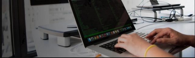 Security Consultants