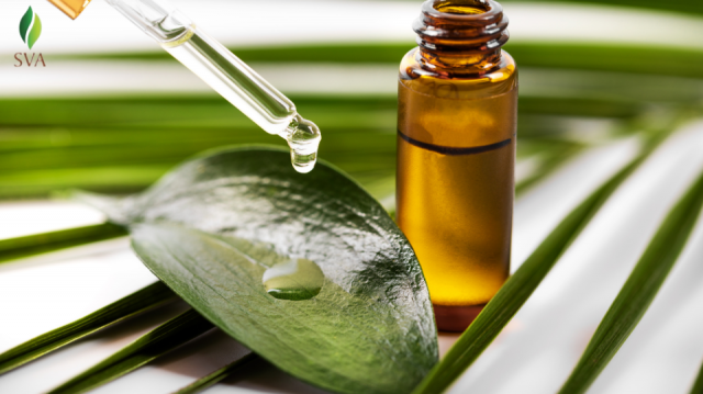 Find Top-Rated Bulk Essential Oil Suppliers and Improve Your Product Offerings Today!