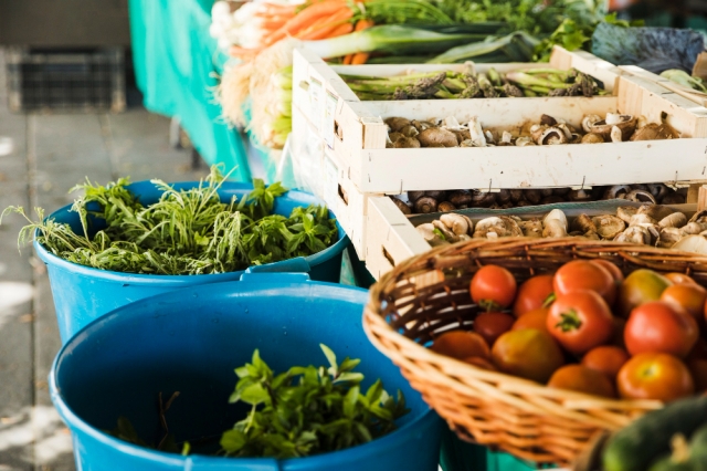 Easy to Grow Vegetables at Home India: Start Your Organic Garden Today