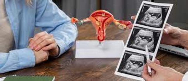 Dr. Charulata Bansal: The Best Gynecologist Specialist Doctor in Jaipur for Women’s Health