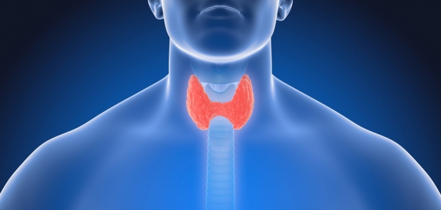 Hyperparathyroidism Treatment Market is Estimated to Witness Significant Growth Owing to Rising Prevalence of Hyperthyroidism