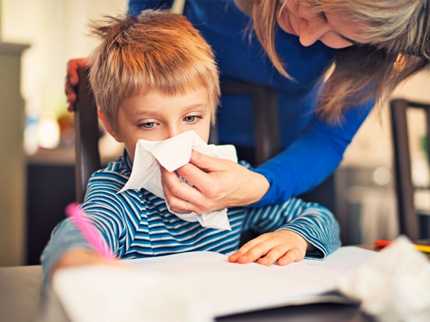 The Role of Humidity in Relieving Cold and Flu  