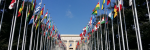 Discover the World of Flags at Globe Flags