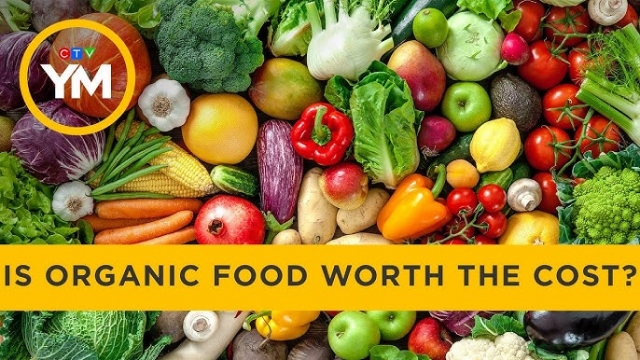 The Shocking Truth: Is Organic Food Really Worth It?