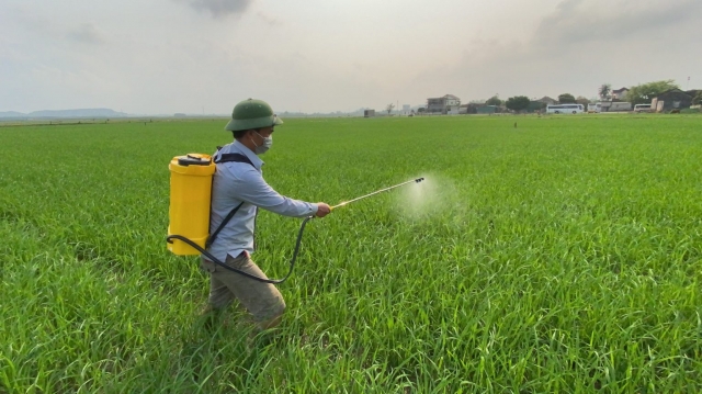 Global Foliar Spray Market Growth Driven by Precision Agriculture and Organic Trends