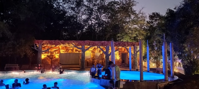 What Makes Wildernest Jungle Resort the Best Choice in Dandeli?