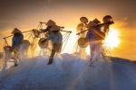 Discover Bamboo Salt: A Mineral-Rich Ancient Salt with Powerful Health Perks