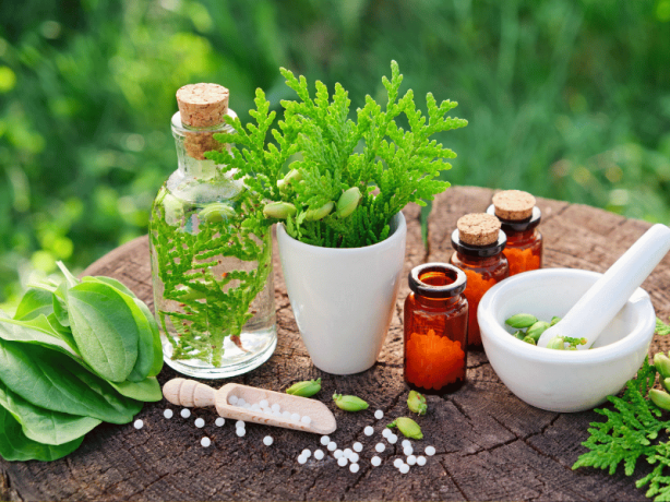 Homeopathic Doctors in Peterborough: Exploring Natural Health Solutions
