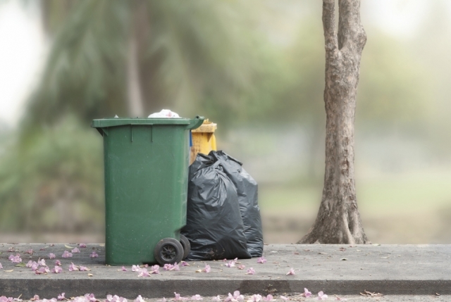 Why You Should Hire Professionals for Cleaning Out the Trash Bins