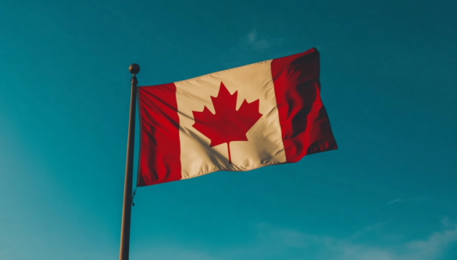 Is It Better To Be A Contractor Or An Employee In Canada? –Aspirock