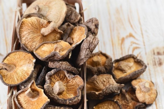 How to Keep Magic Mushrooms Fresh: Storing and Shelf Life Explained