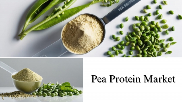 Pea Protein Market Overview: Size, Share, and Growth Prospects, 2032