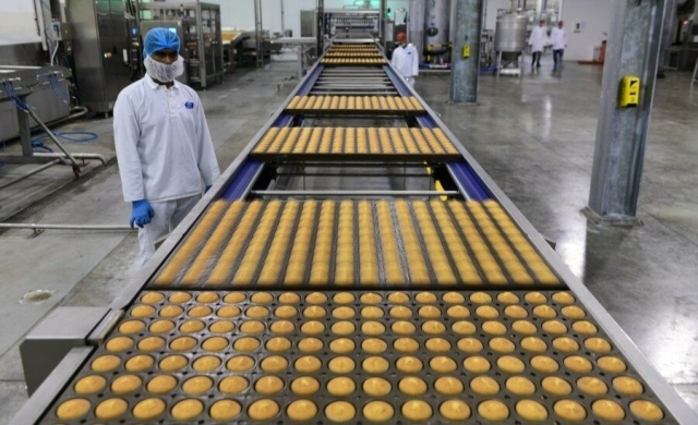 8 Key Factors to Establish a Successful Muffin Mixes Manufacturing Plant: Raw Materials Requirement