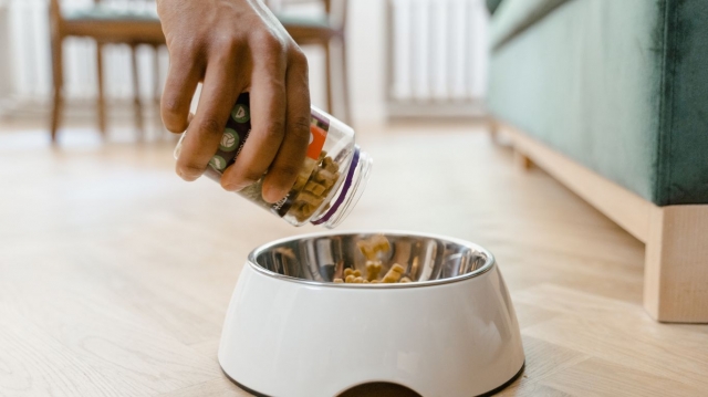 What You Need to Know: Can Purina Dog Food Really Cause Cancer?