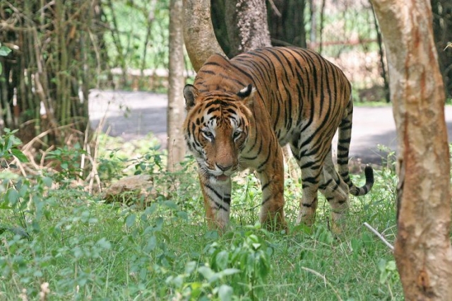 Top 10 Parks in Chennai: Explore the Green Oases of the City