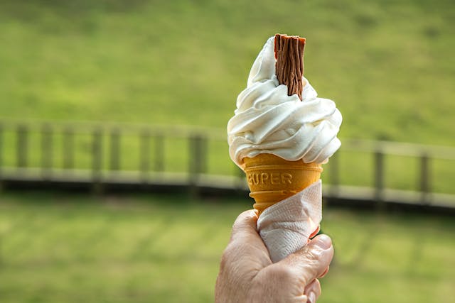 3 Tips to Make More Delicious Homemade Ice Creams This Summer