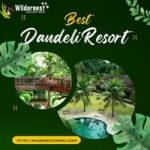 Which Dandeli Resort Offers the Best Nature Views and Activities?