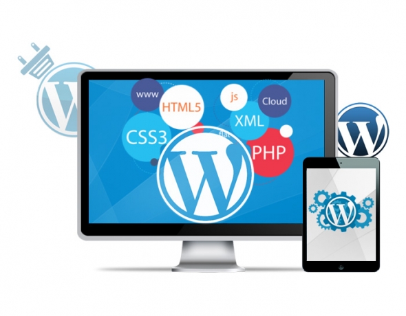 How Your Website Hosting Company Choice Affects Your Business Performance