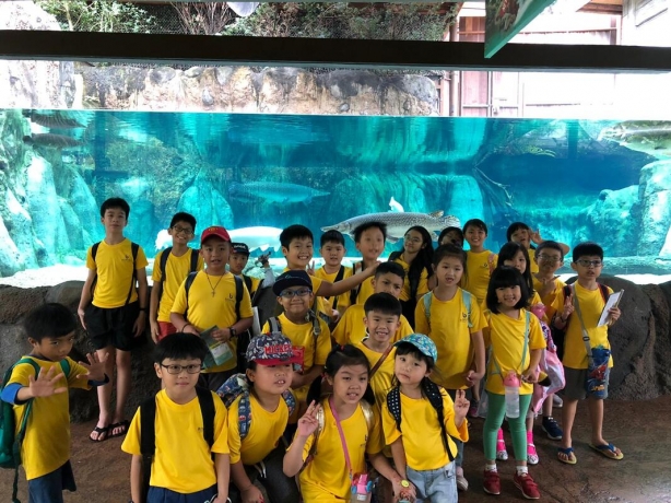 Simple Tips to choose the Best Services of Student Care in Punggol  