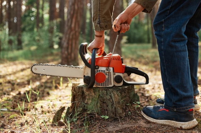 How Much Does Tree Stump Grinding Service Cost in Woodruff & Spartanburg, SC? 