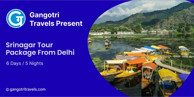 Plan Your Dream Srinagar Tour Package From Delhi With Gangotri Travels