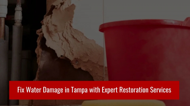 Fix Water Damage in Tampa with Expert Restoration Services