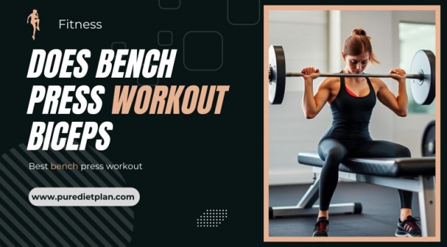 Does bench press workout biceps