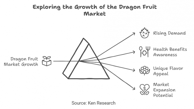 USA Dragon Fruit Market Witnesses Rising Demand and Future Growth Potential