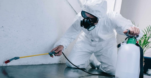 Expert Pest Control Services in Bhubaneswar: Your Ultimate Solution