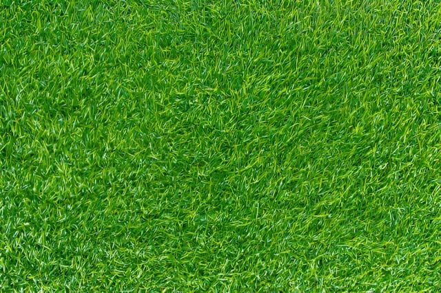 Choosing the Best Artificial Grass Suppliers