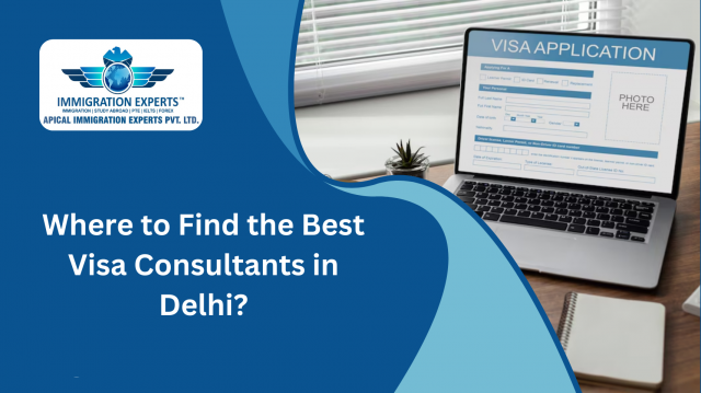 Where to Find the Best Visa Consultants in Delhi?
