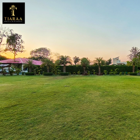 Why Luxury Resorts in Jim Corbett Are Perfect for a Nature Escape