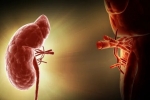 How I Prepared for a Kidney Transplant: My 30-Day Journey
